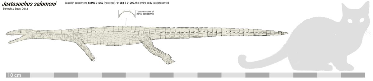 Literally Miguel 🇻🇪💥🔫 tweet media
