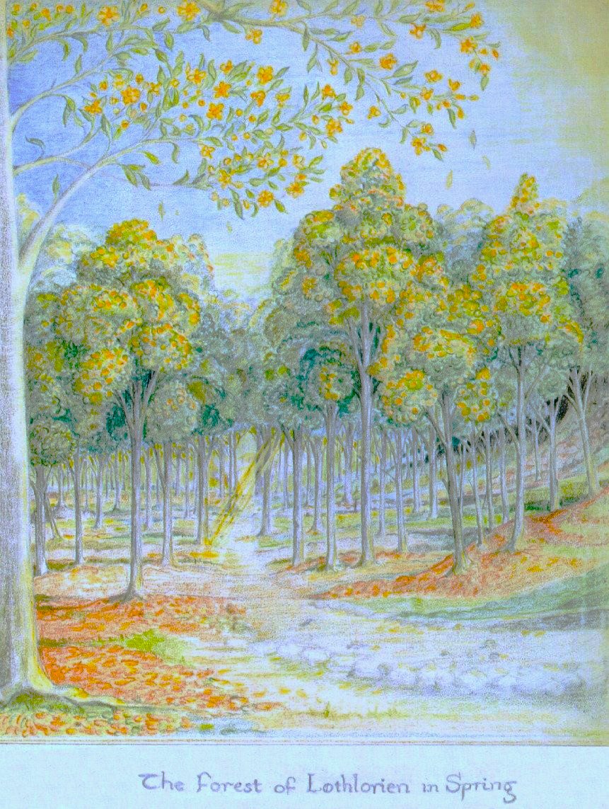 yumcarton's tweet photo. The Forest of Lothlórien in Spring.
J. R. R. Tolkien, c. 1940 https://t.co/gyeJKx8J7y
