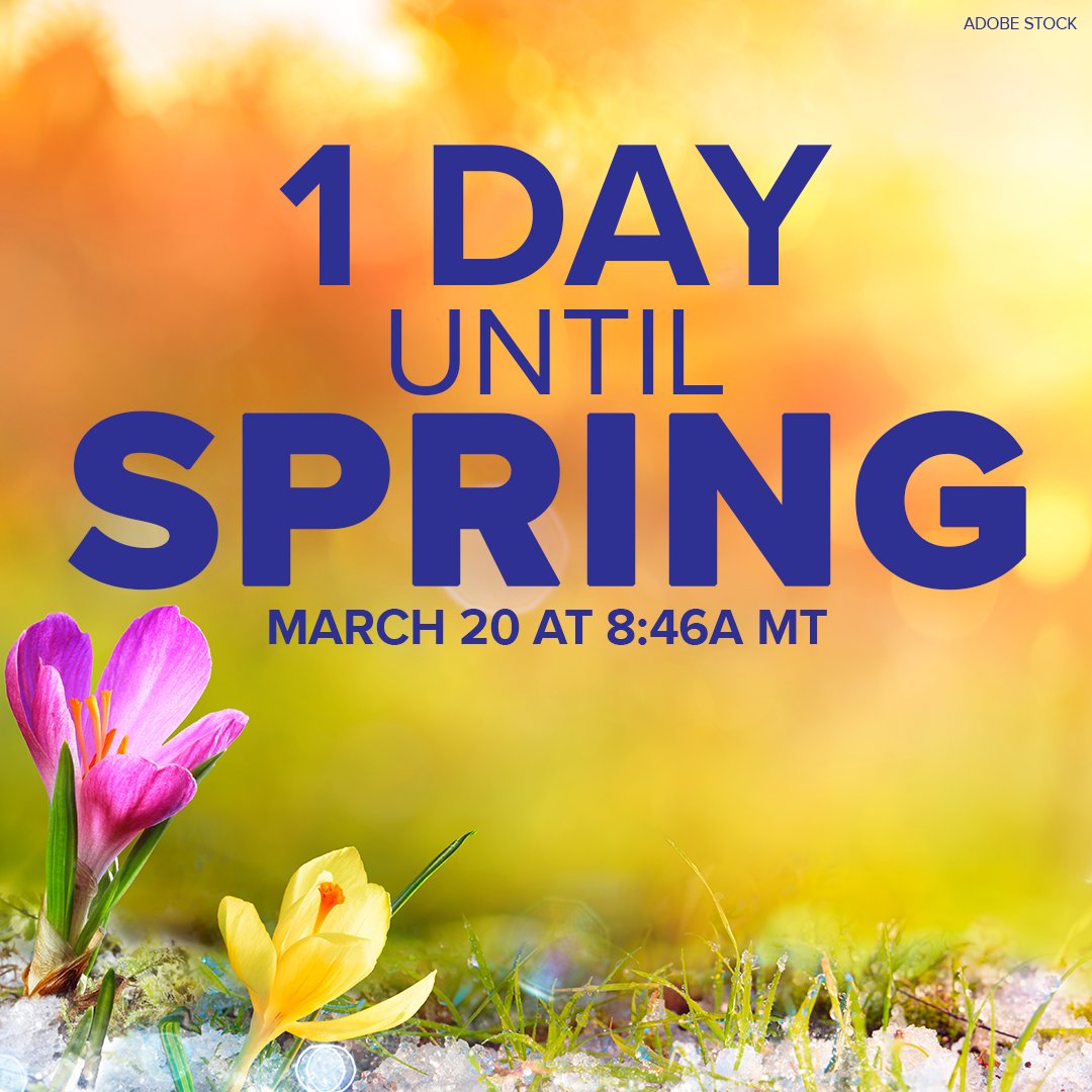 9NEWS Weather tweet media