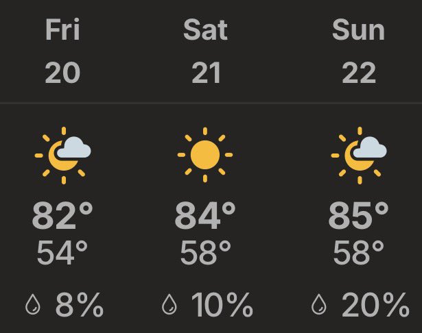 Average Southern Miss Fan tweet media