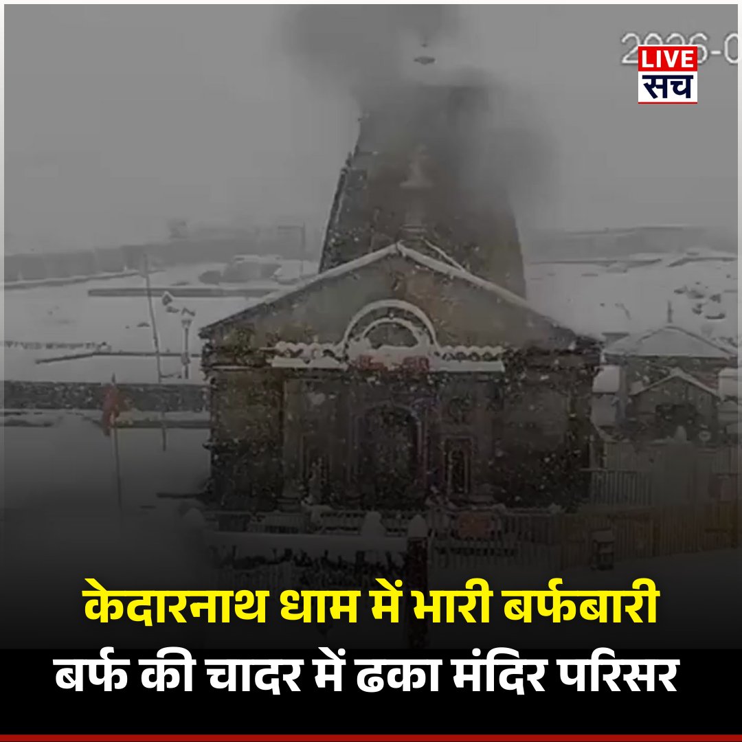 Live Sach tweet media