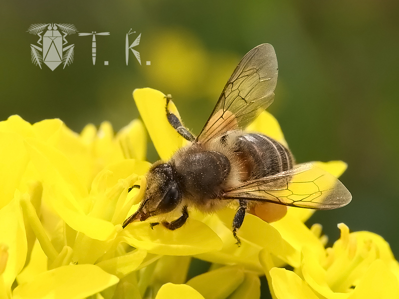 小松　貴 tweet media