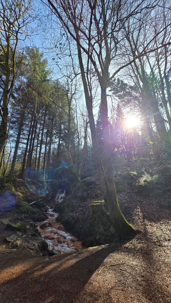 James Hood tweet media