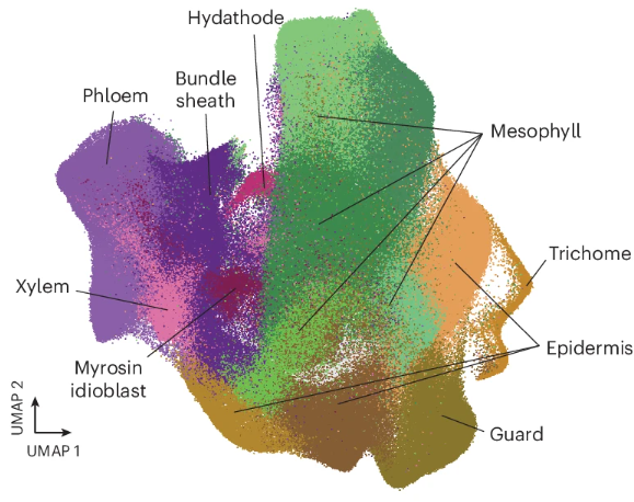 Nature Plants tweet media