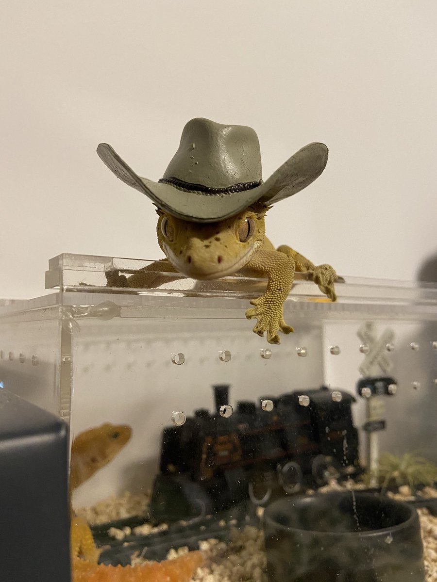 IkeaMafia tweet media