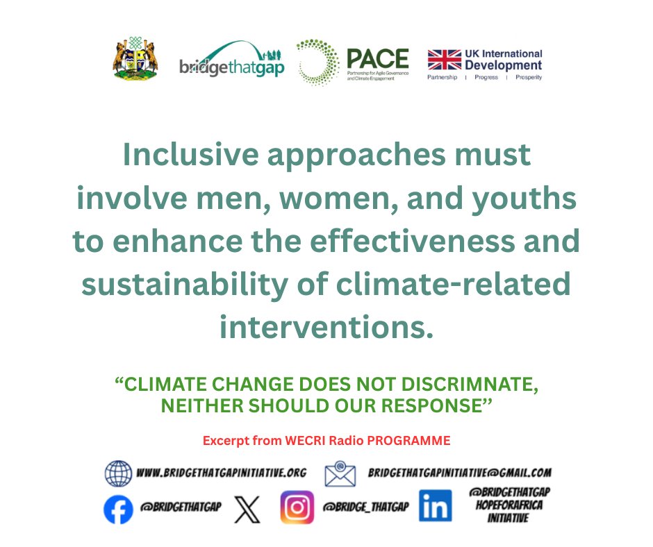 Bridge That Gap Initiative tweet media