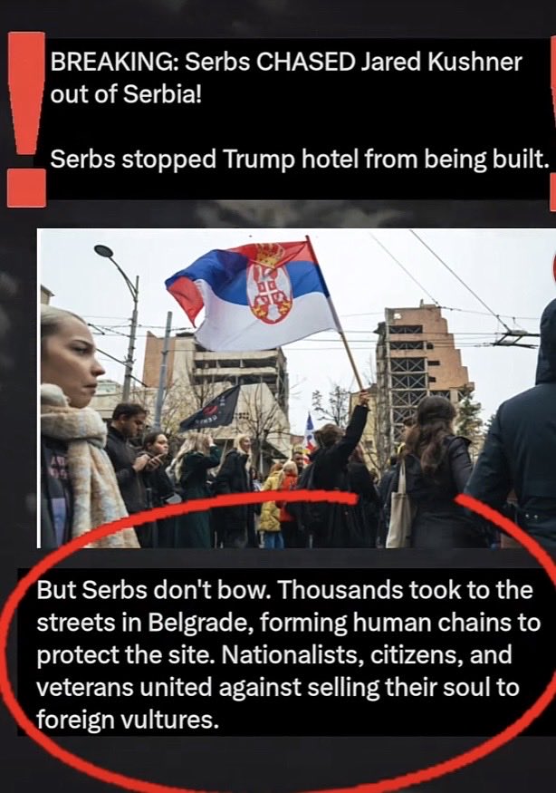 Suzie rizzio tweet media