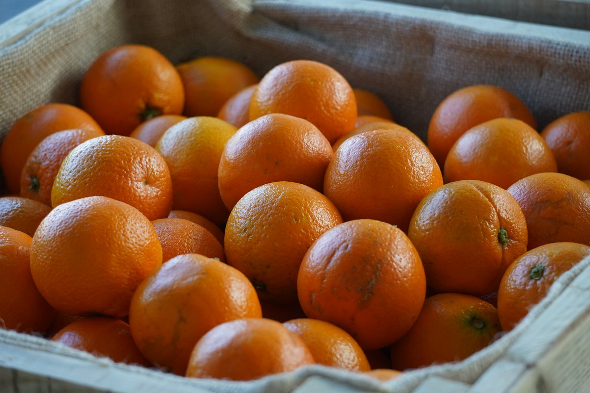 Hull Trinity House Academy tweet media