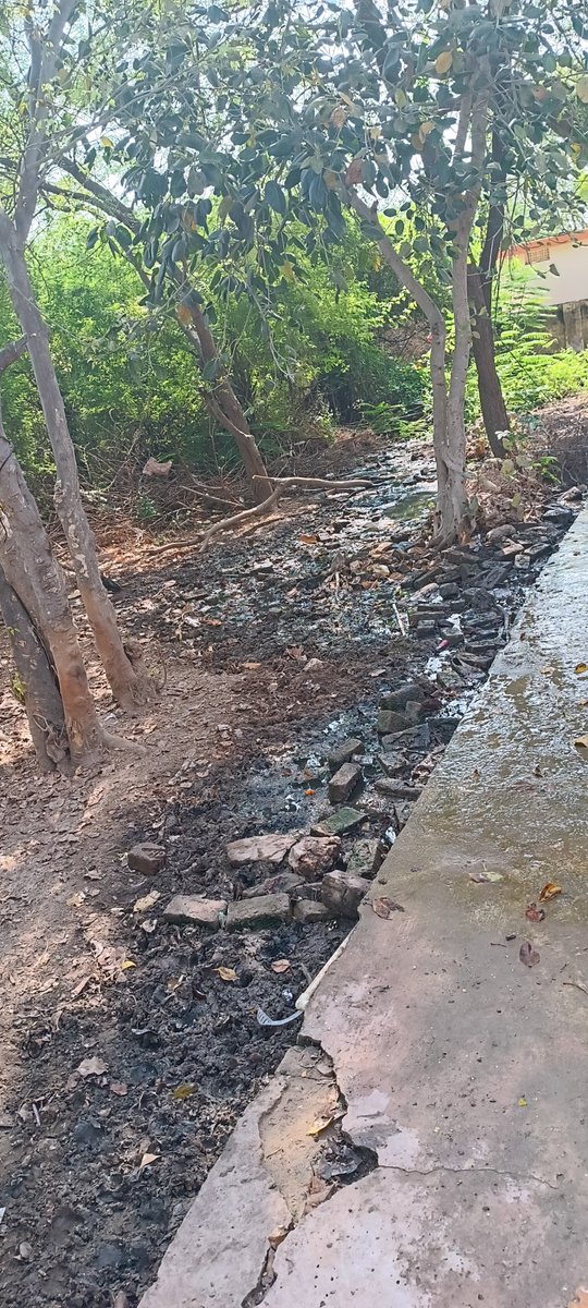 gvsreddy93's tweet photo. @naralokesh @MinisterSavitha @Chitha_Vijay @prakasamDistOfc Sir/Madam, this is the state of hygiene in BC hostel Donakonda, Prakasam. Even pigs are roaming in hostel premises which may cause illness to students. Pls look into it and do the needful  to maintain neatness.. thanq https://t.co/Kp0815qf4D