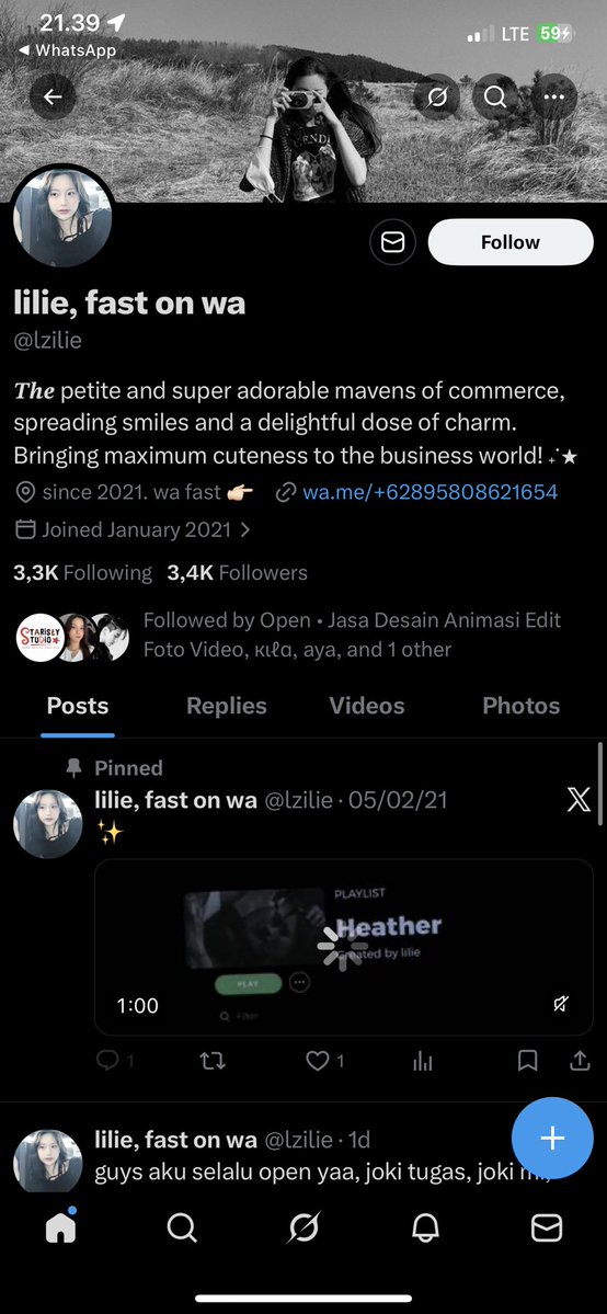 Dazzling Moon Tarot | OPEN tweet media