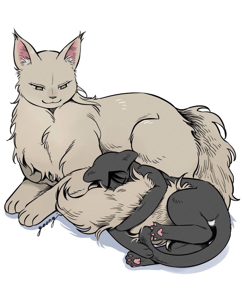 안정감 
#물가의밤 #水邊之夜 💦🌰