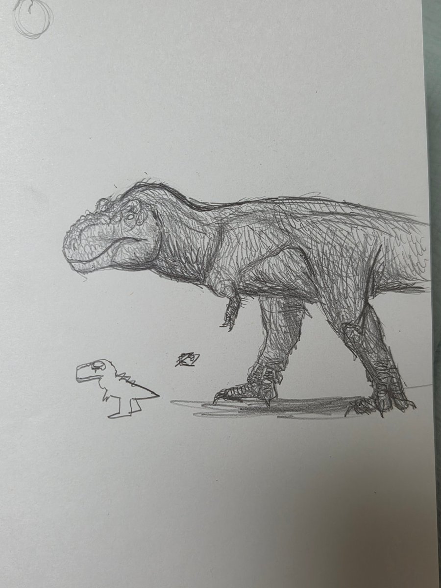 TutleZ / 거북데스네 tweet media