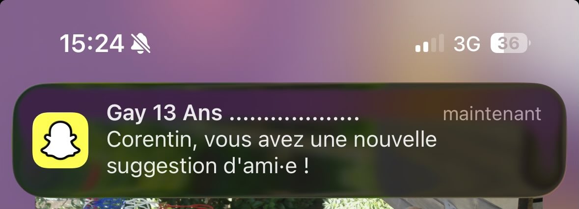 Calico | 🔻 tweet media