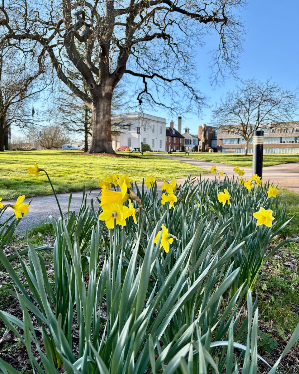 The Open University tweet media