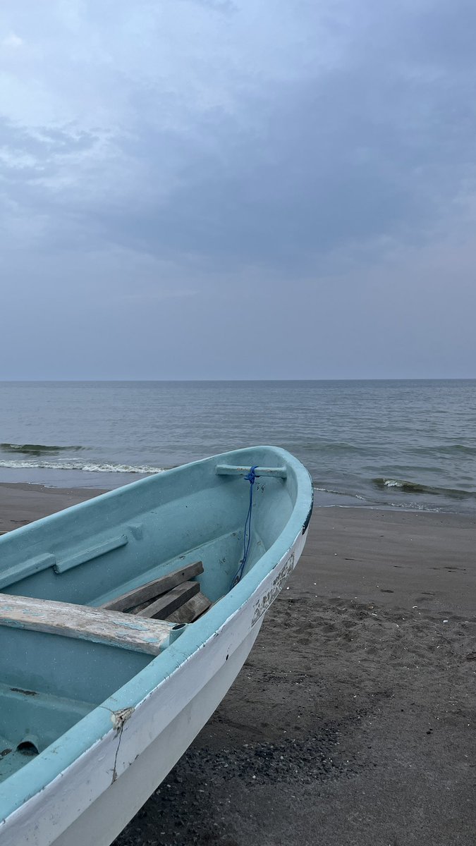 مُحمَد tweet media