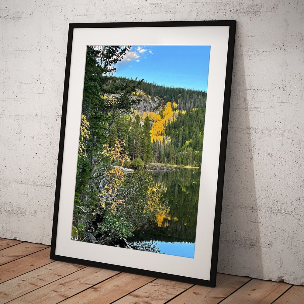 JudyVincent74's tweet image. Fall Colors at #BearLake Vertical Framed Print Also available as canvas, metal, wood, or acrylic prints and on many products #Colorado #autumn #RockyMountains #photography #BuyIntoArt #HomeDecor #JudyVincentPhotography
See all print options here ---&amp;gt; buff.ly/YetSZ8I