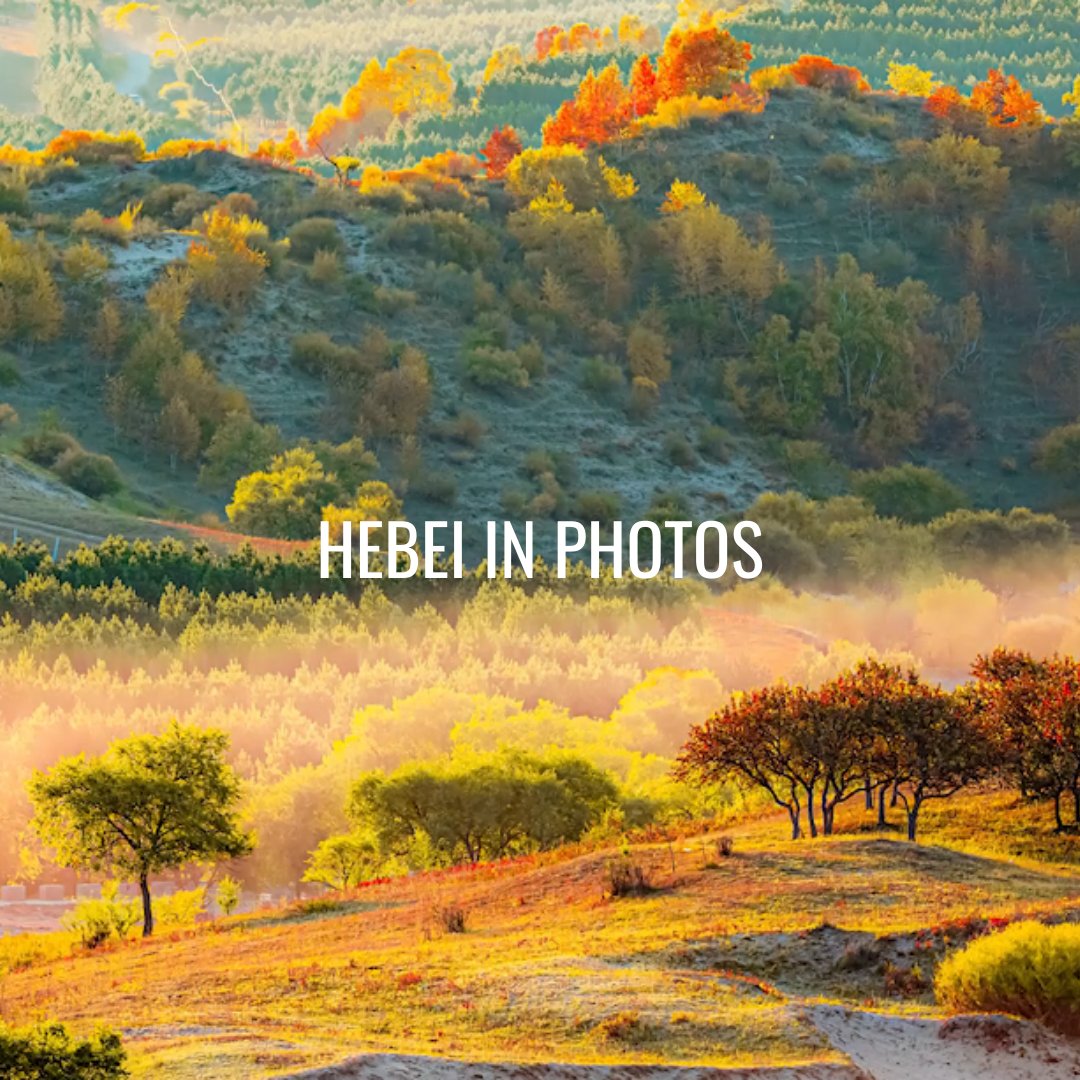 Enjoy Hebei tweet media