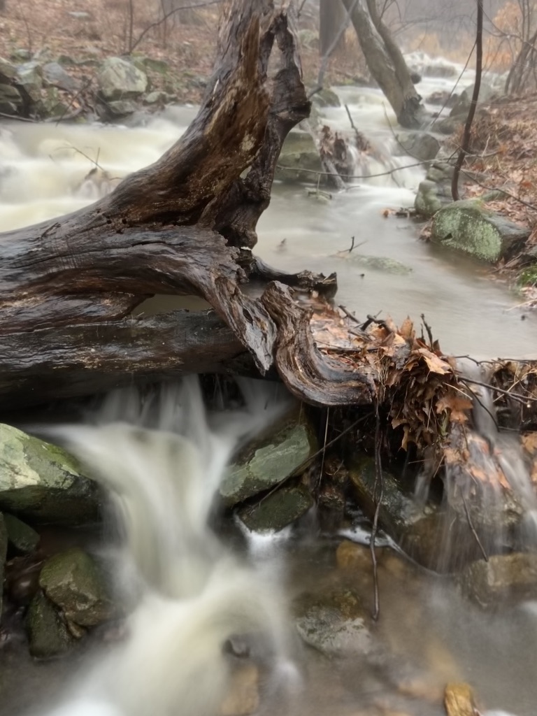 Go with the flow