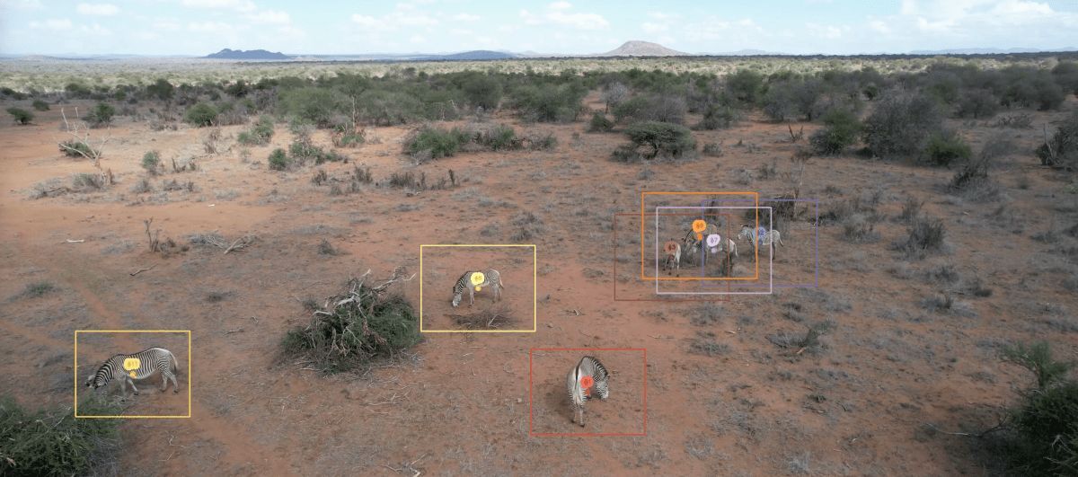 Methods in Ecology and Evolution tweet media