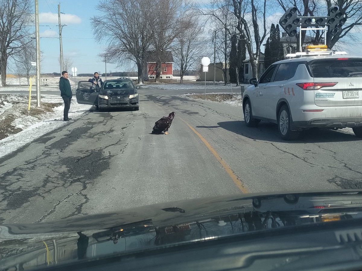 Dominic Lavoie 🇨🇦 tweet media