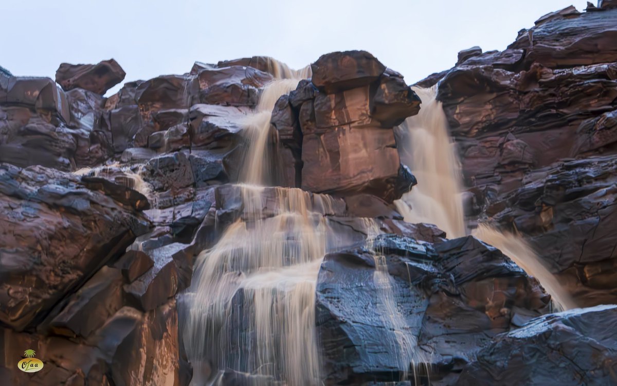 محمد بن أحمد الفريدي tweet media