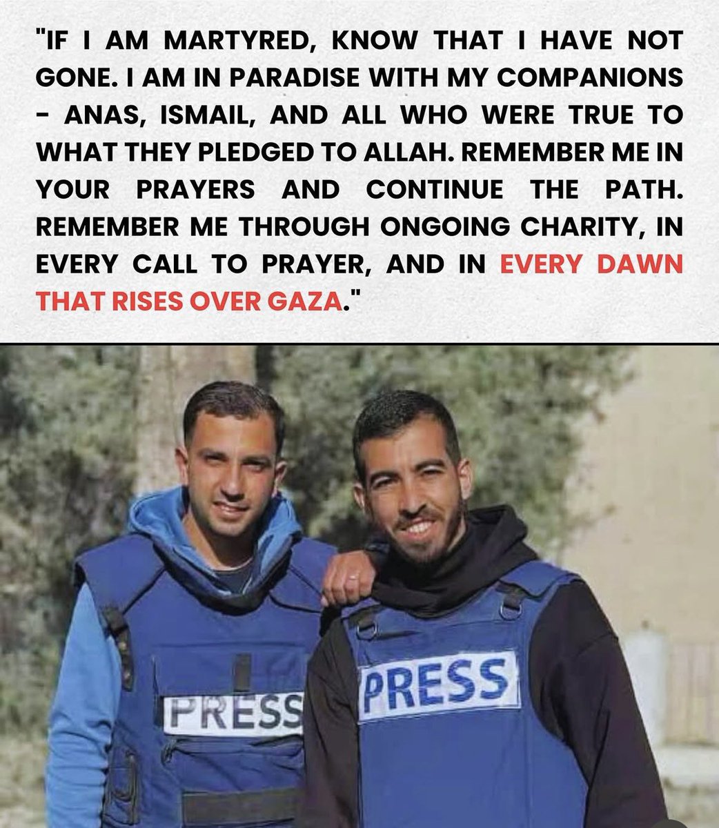 Rasha 🐝🐝 tweet media