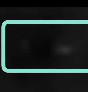 blue star 812 tweet media