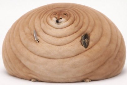 I̶l̷y̶ tweet media