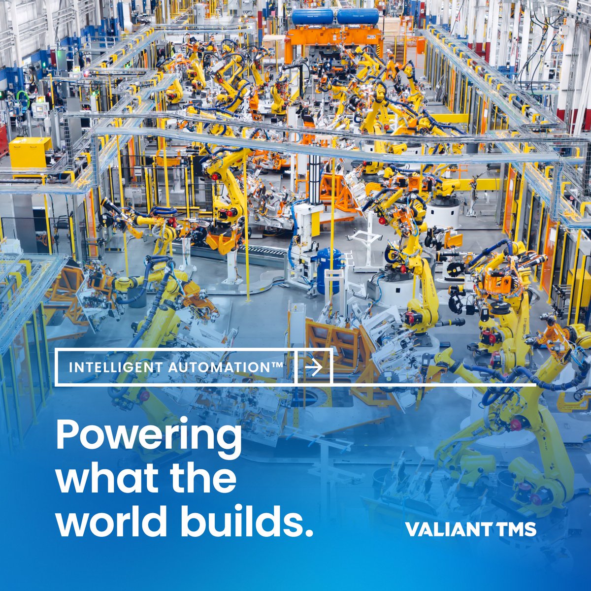 Valiant TMS tweet media