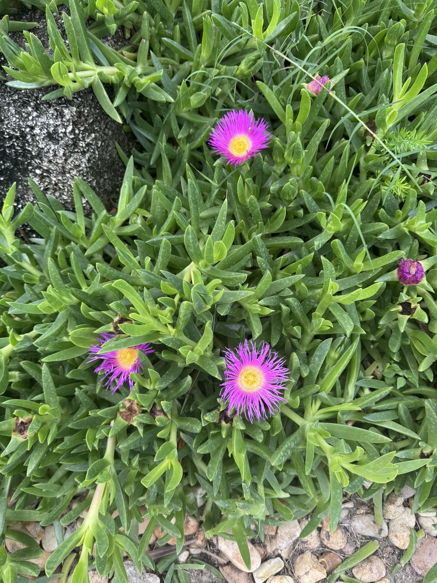 Mike Staley tweet media