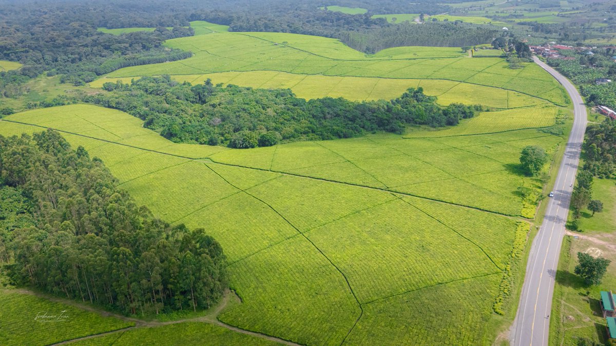 Ugandan Travel Photographer. tweet media