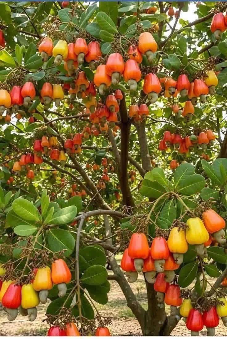 Ada Ezeagu ❤️ tweet media