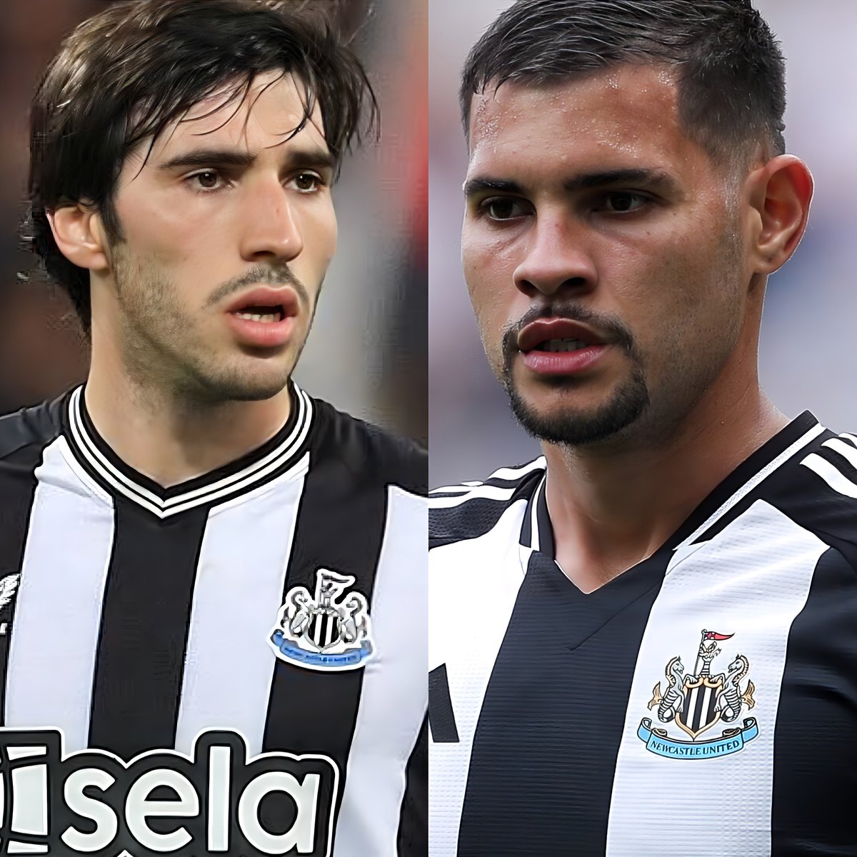 Boy Chester 💤 tweet media