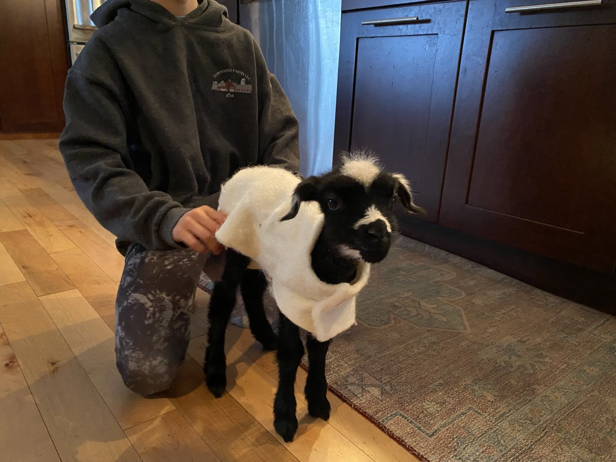 Derek R. Haswell tweet media