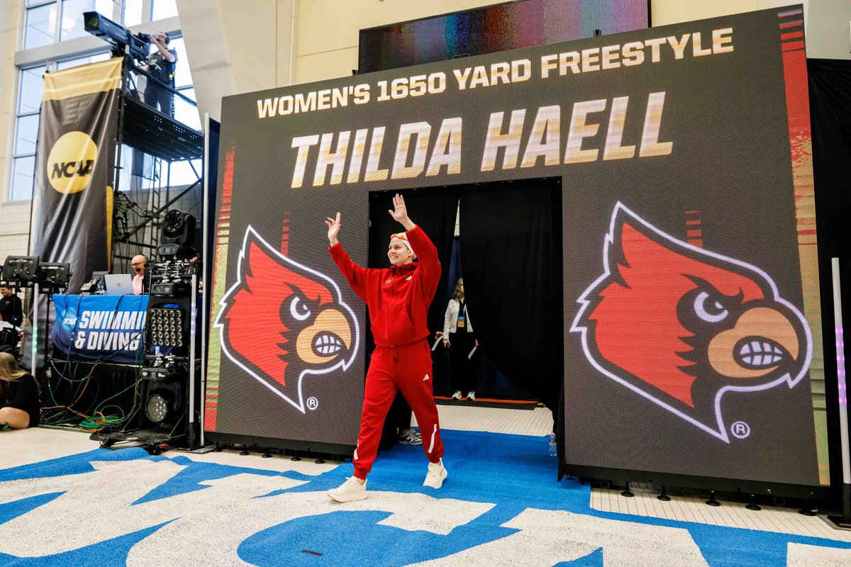 Louisville Swim & Dive tweet media