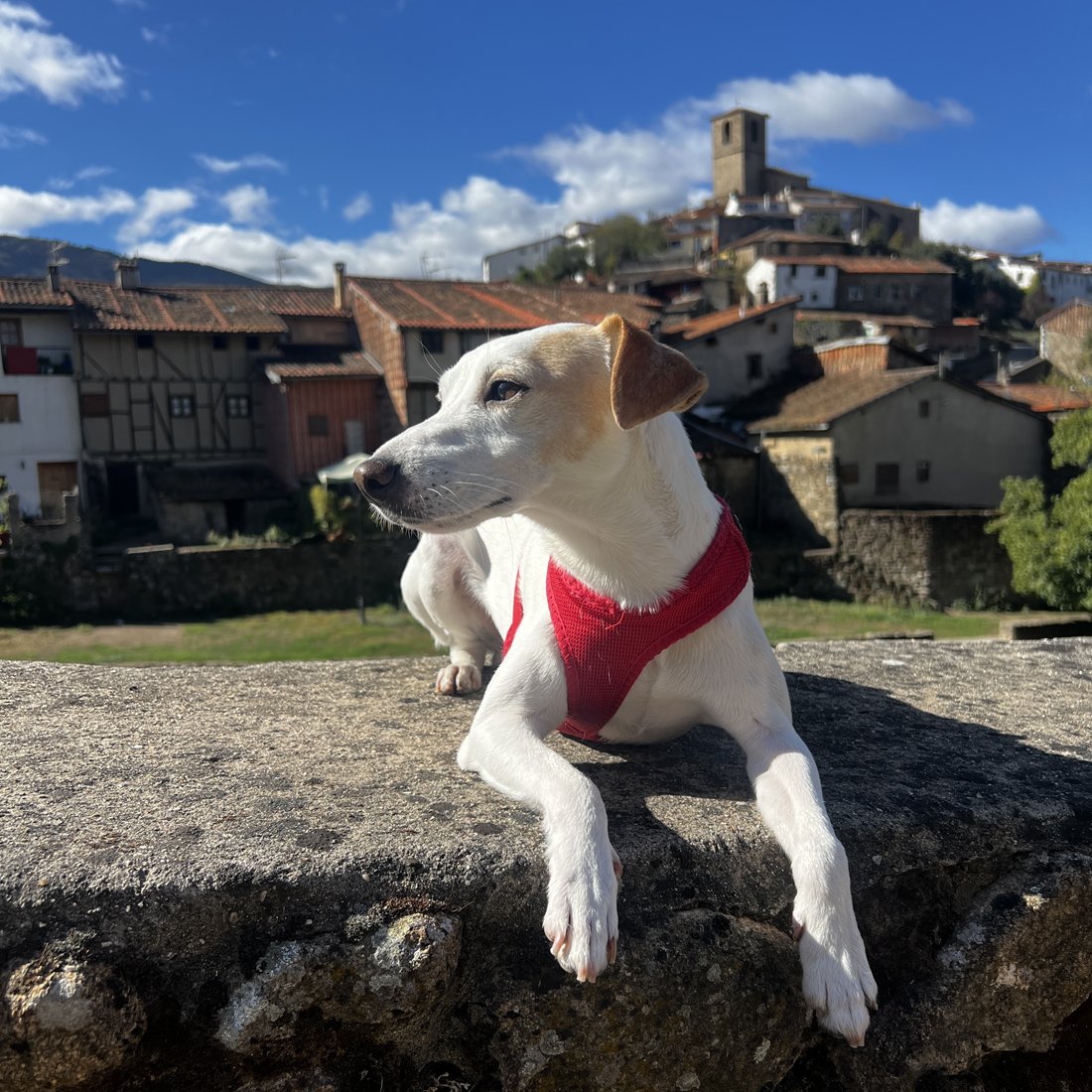 Extremadura Turismo tweet media