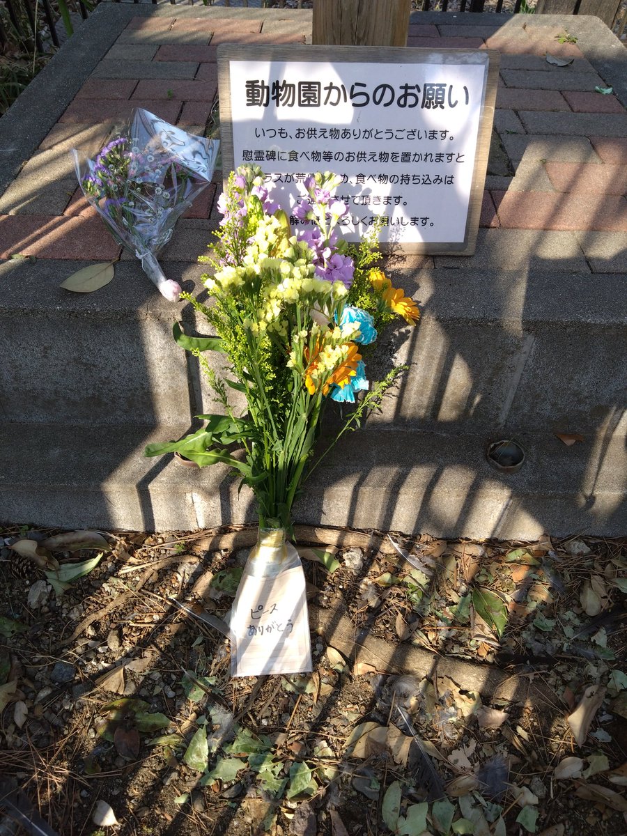 もう大宮には来ることは…ないかぁ
理由がないしなあ。遠いし
どうしてもお礼がしたくて
#ピースありがとう 
#ねず子さんありがとう