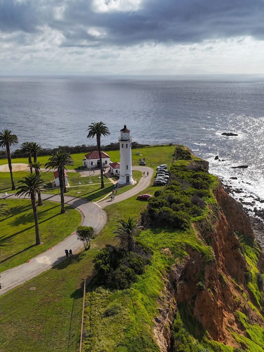 N A T U R E tweet media