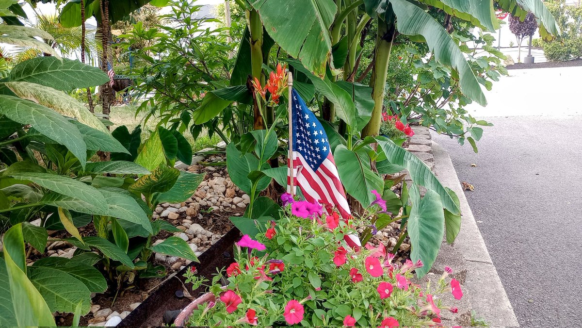 🌴The Gardener🌴 tweet media