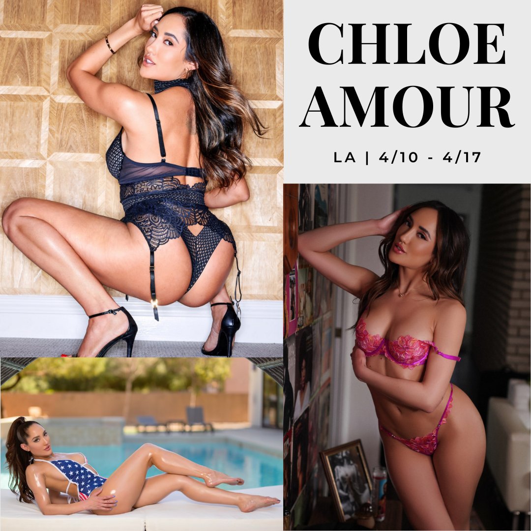 OC Modeling™ tweet media