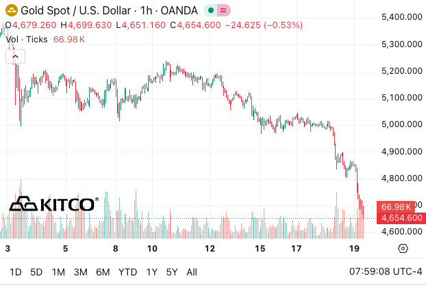 Jack Prandelli tweet media