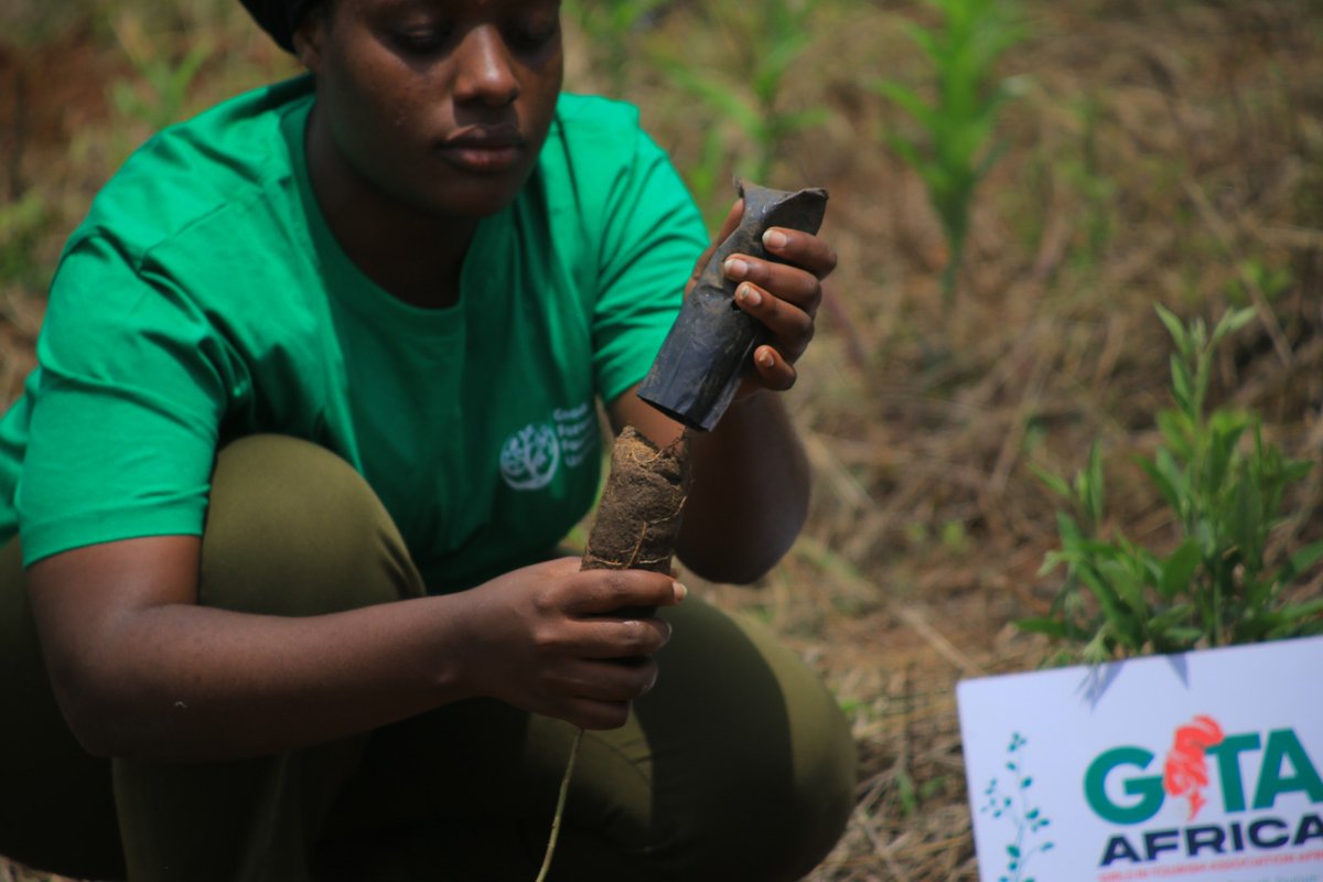 NAKASANJE JANNAT tweet media