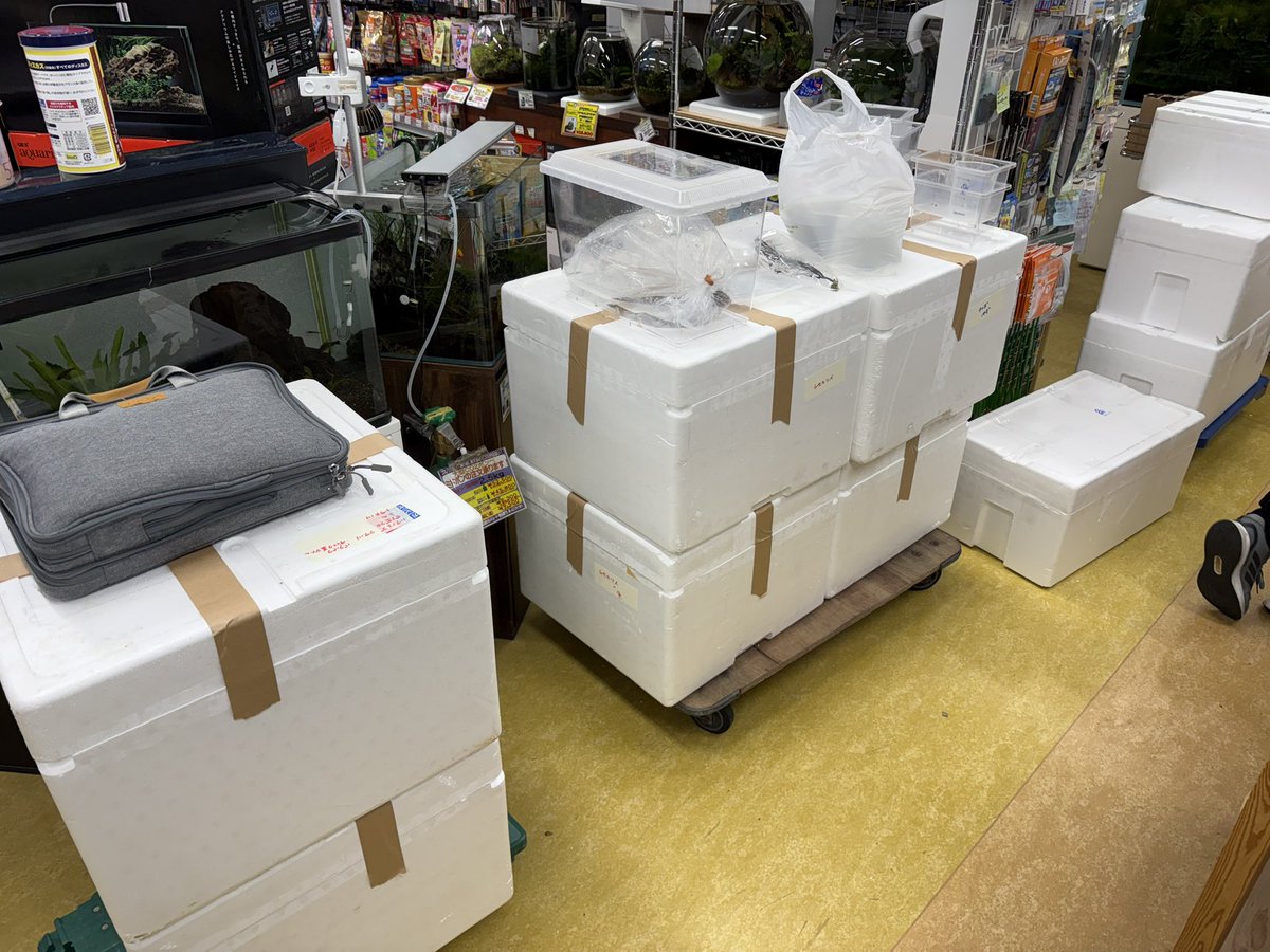 マリン@リミックスみなと店 tweet media