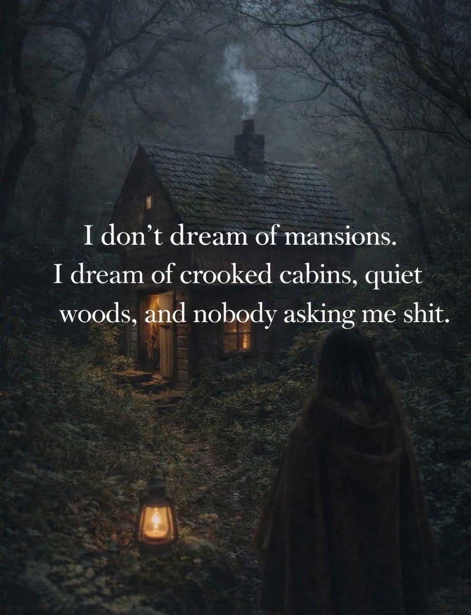 COZYVIBES tweet media