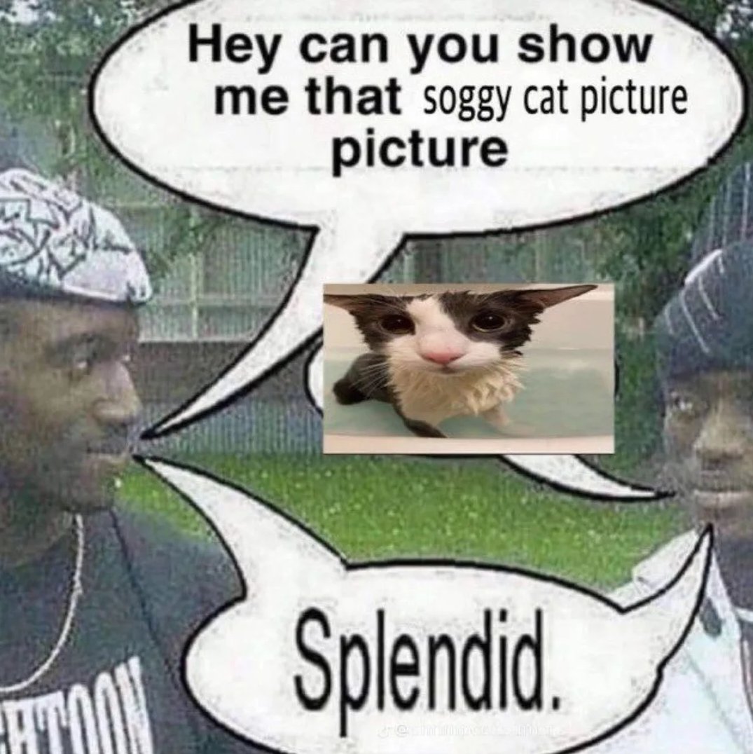 i drink soup tweet media