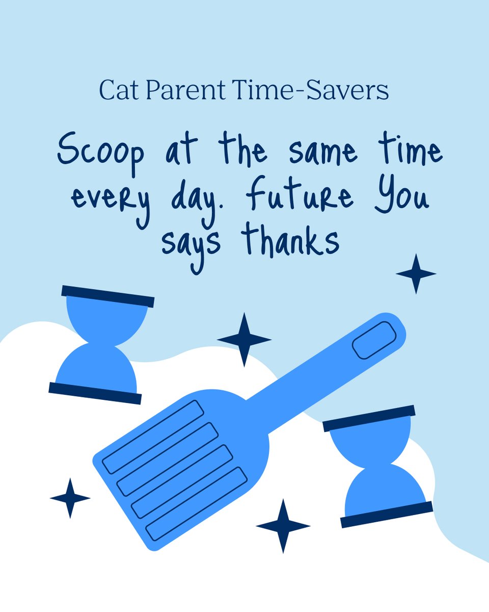 Boxiecat tweet media