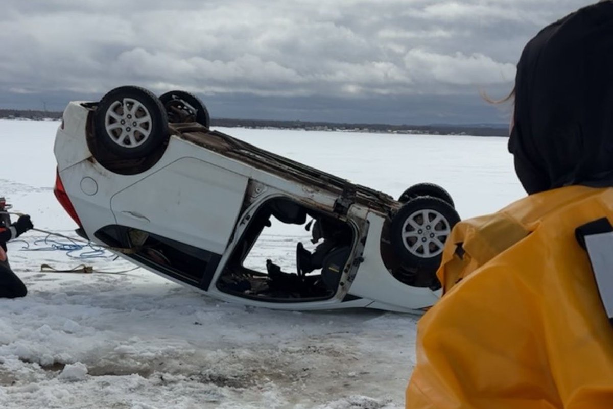 driving.ca tweet media