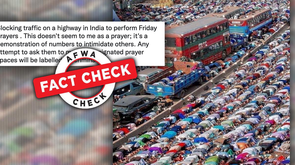 Dave James 🇬🇧🇪🇺🇪🇪 tweet media