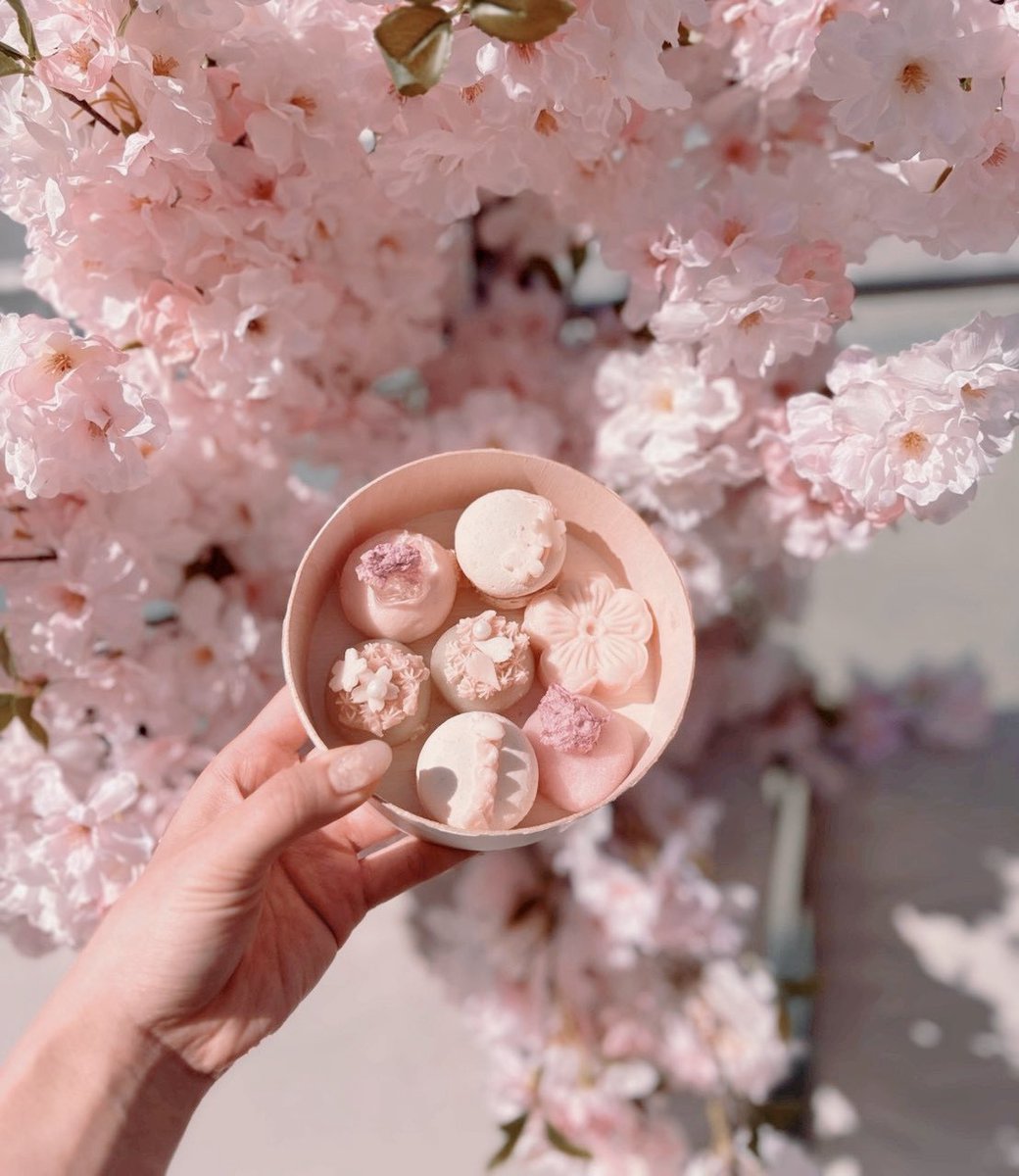 🌸🍃🍡 🌸🍃🍡 🌸🍃🍡 🌸🍃🍡🌸 🌸期間限定 桜満開テラスカフェ🌸 場所