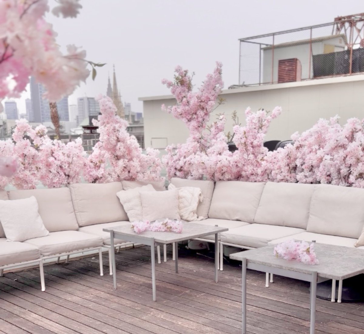 🌸🍃🍡 🌸🍃🍡 🌸🍃🍡 🌸🍃🍡🌸 🌸期間限定 桜満開テラスカフェ🌸 場所